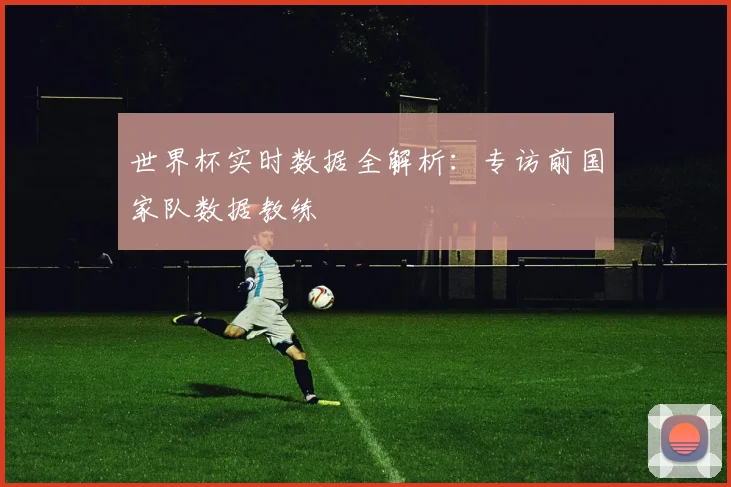 世界杯实时数据全解析：专访前国家队数据教练
