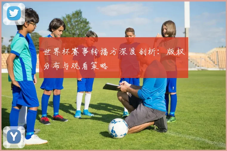 世界杯赛事转播方深度剖析：版权分布与观看策略