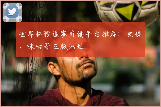 世界杯预选赛直播平台推荐:央视、咪咕等正版地址
