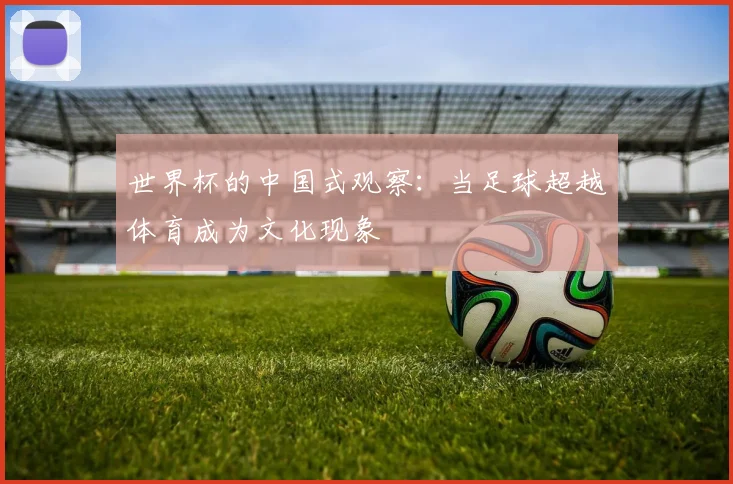 世界杯的中国式观察：当足球超越体育成为文化现象