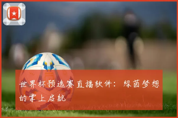 世界杯预选赛直播软件:绿茵梦想的掌上启航
