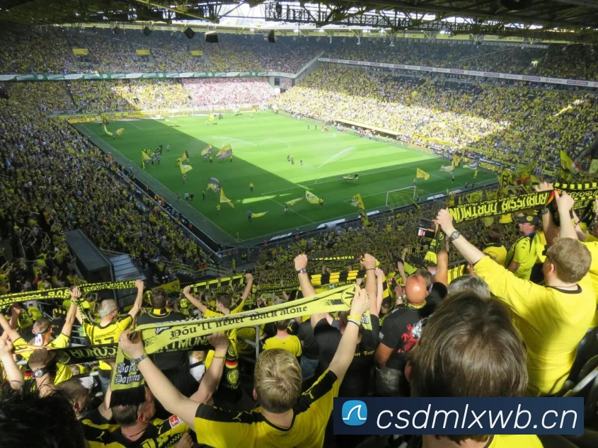 多媒体互动体验