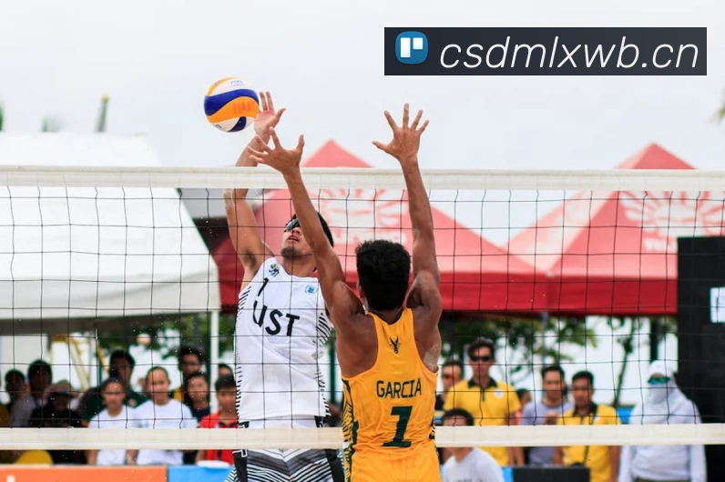 开云手机入口官网下载APP 高清赛事图